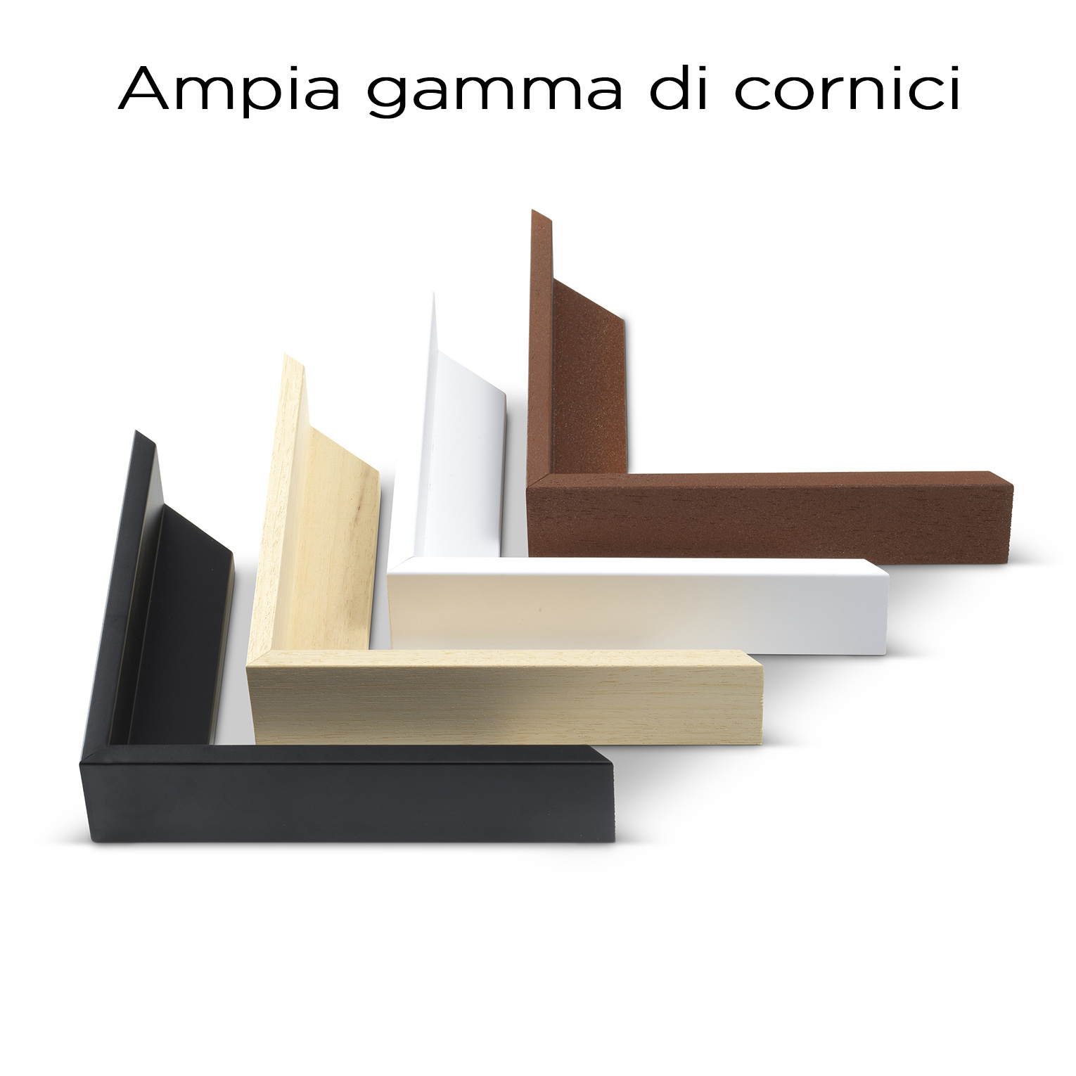 IL MURO